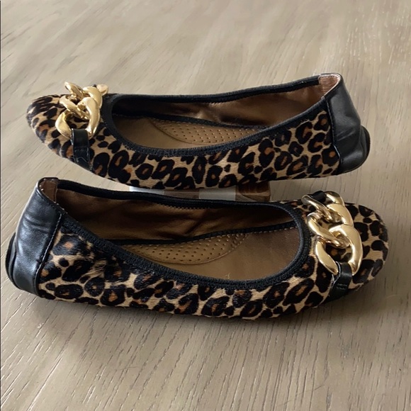 Leopard Flats - Picture 5 of 7